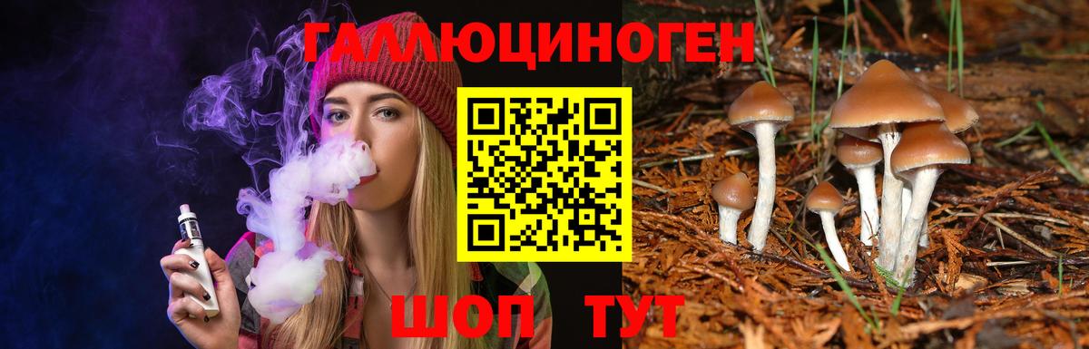 Галлюциногенные грибы мухоморы Ефремов